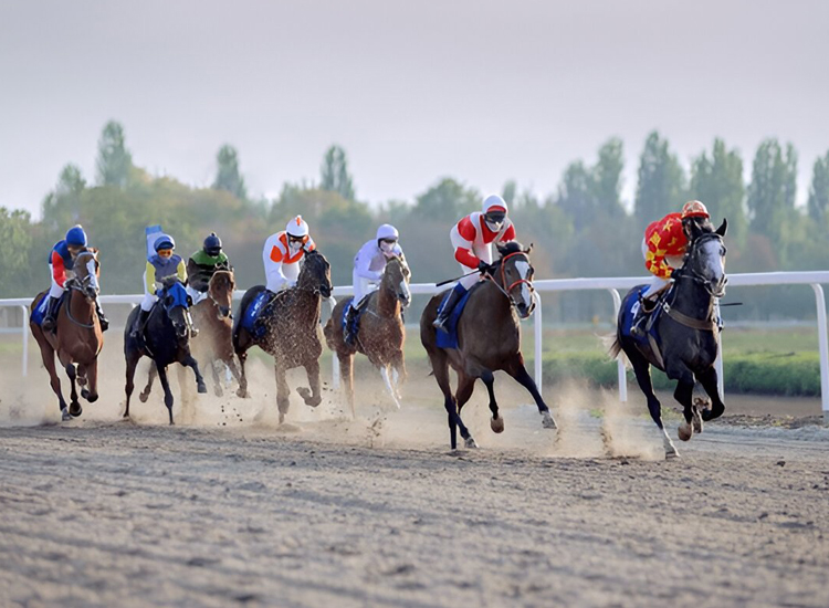 horse racing funny names