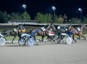 funny night at the races horse names