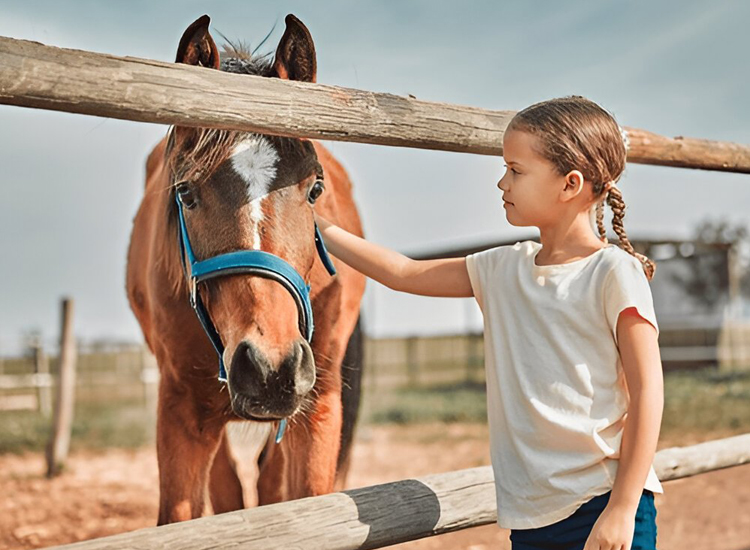 funny dirty race horse names