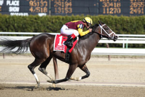 funny racing horse names