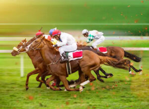 funny names of horses