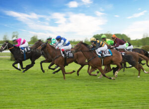 funny names for racehorses