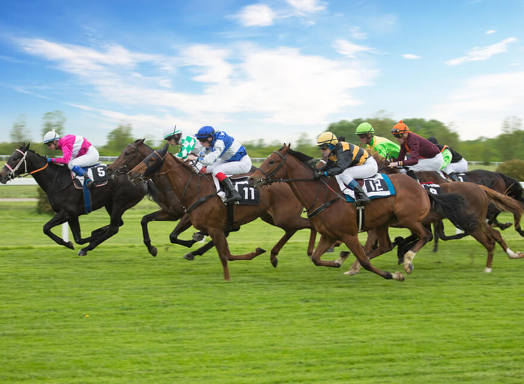 funny names for racehorses
