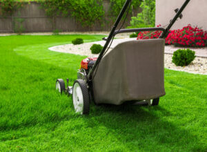 good lawn mower names