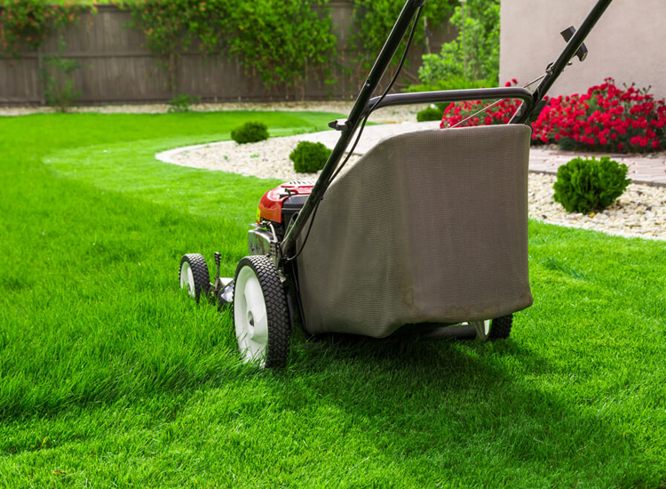 good lawn mower names