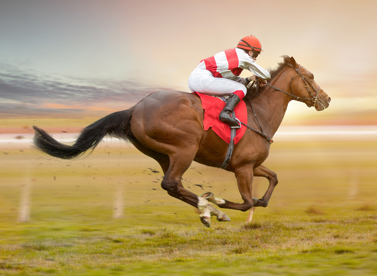 funniest race horse names