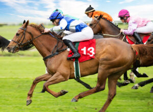 funny racehorse names