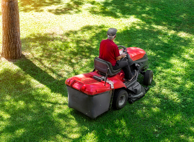 funny grass cutting names