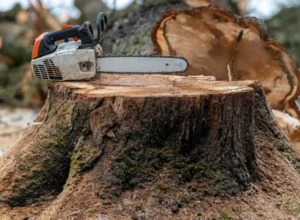 lumberjack jokes