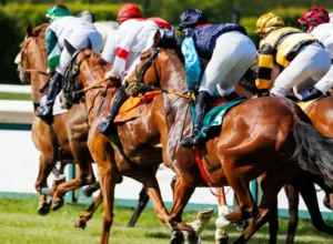 horse race funny names