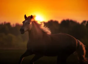 rude horse names for race nights