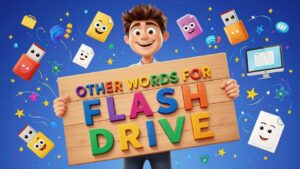 other words for flash drive
